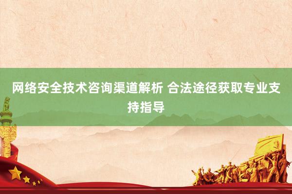网络安全技术咨询渠道解析 合法途径获取专业支持指导