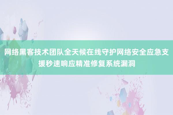 网络黑客技术团队全天候在线守护网络安全应急支援秒速响应精准修复系统漏洞