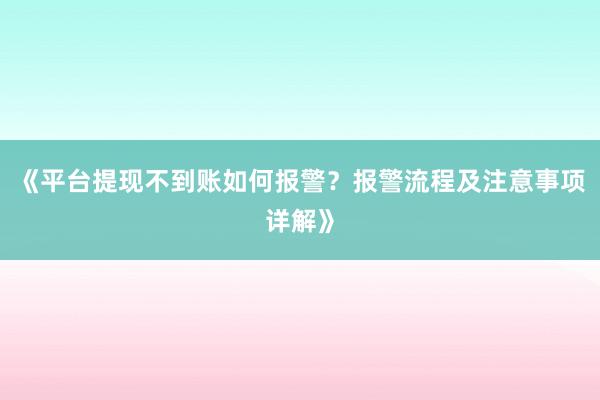 《平台提现不到账如何报警？报警流程及注意事项详解》
