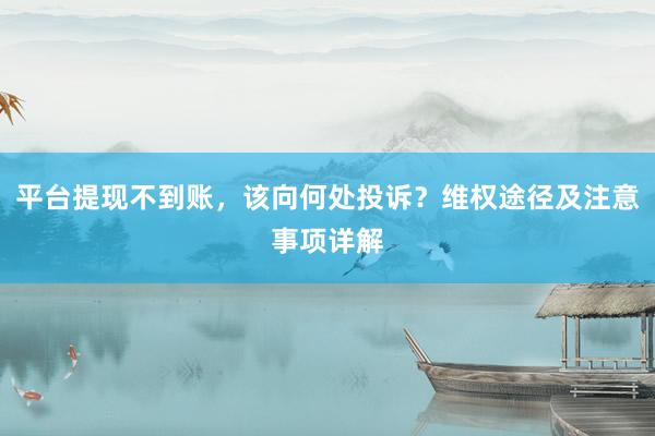 平台提现不到账，该向何处投诉？维权途径及注意事项详解
